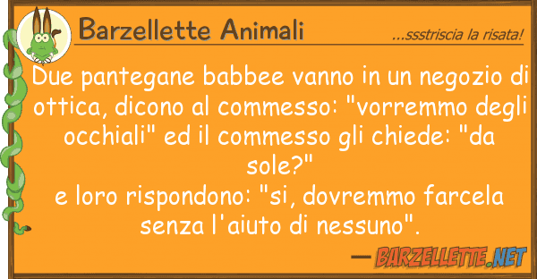 Barzellette Animali due pantegane babbee vanno negozio