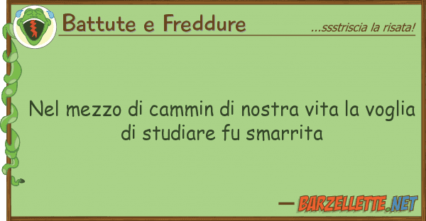 Battute e Freddure mezzo cammin vita vo