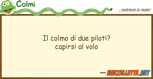 Colmi colmo due piloti? capirsi volo