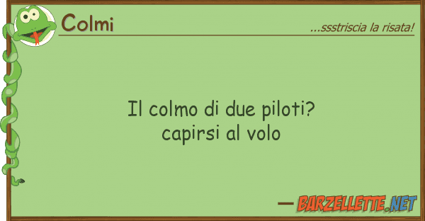 Colmi colmo due piloti? capirsi volo