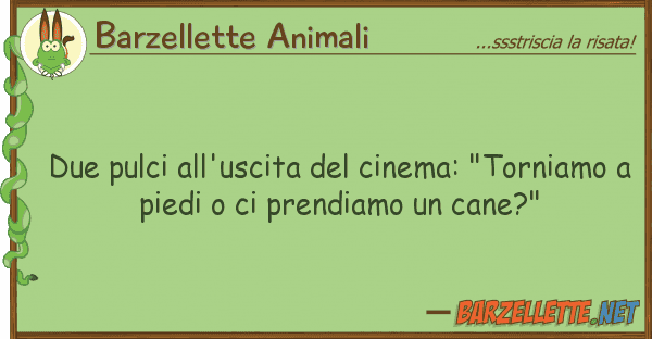 Barzellette Animali due pulci all'uscita cinema: "tornia