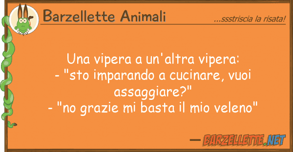 Barzellette Animali vipera un'altra vipera: - "sto im