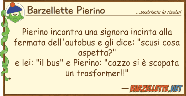 Barzellette Pierino pierino incontra signora incinta