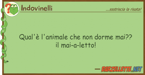 Indovinelli qual'è l'animale dorme mai??