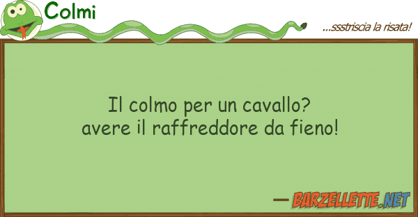 Colmi colmo cavallo? avere raffre
