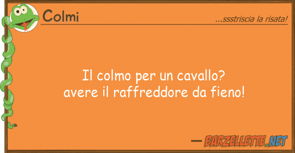 Colmi colmo cavallo? avere raffre