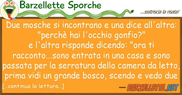 Barzellette Sporche due mosche incontrano dice all'