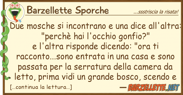 Barzellette Sporche due mosche incontrano dice all'