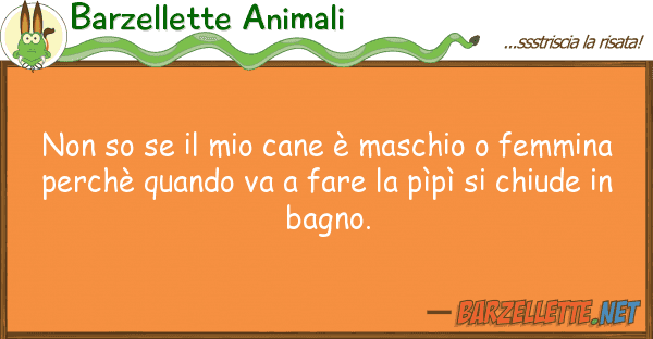 Barzellette Animali so cane è maschio femmi