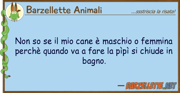 Barzellette Animali so cane è maschio femmi