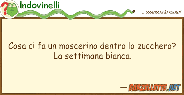Indovinelli cosa fa moscerino dentro zucche