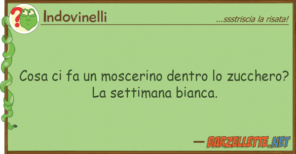 Indovinelli cosa fa moscerino dentro zucche