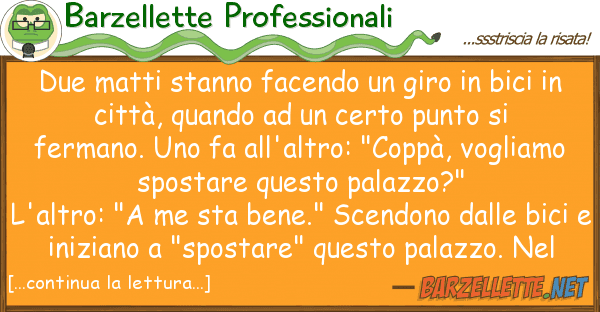 Barzellette Professionali due matti stanno facendo giro bici