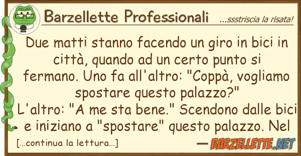 Barzellette Professionali due matti stanno facendo giro bici