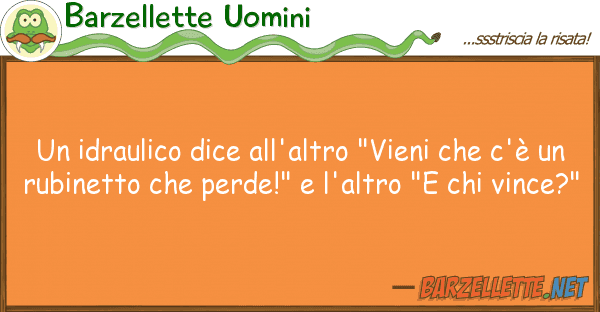 Barzellette Uomini idraulico dice all'altro "vieni