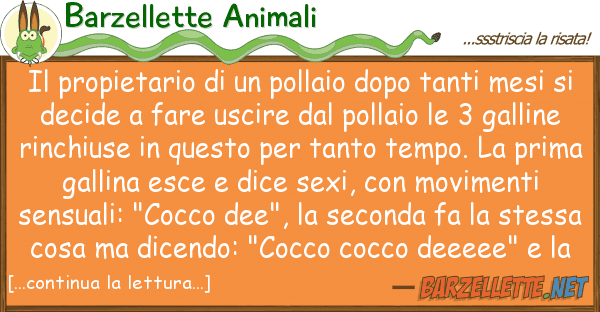 Barzellette Animali propietario pollaio dopo tanti