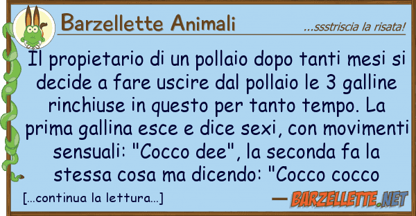 Barzellette Animali propietario pollaio dopo tanti