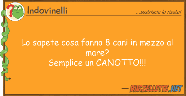 Indovinelli sapete cosa fanno 8 cani mezzo