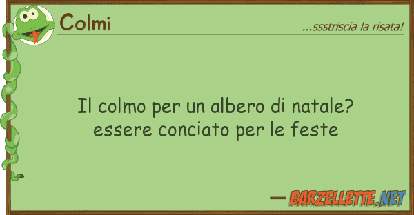 Colmi colmo albero natale? essere