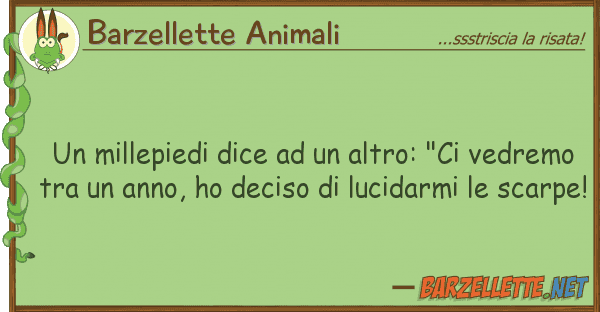 Barzellette Animali millepiedi dice altro: "ci vedr
