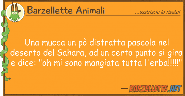 Barzellette Animali mucca pò distratta pascola d