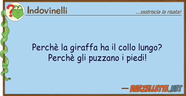 Indovinelli perchè giraffa ha collo lungo? p