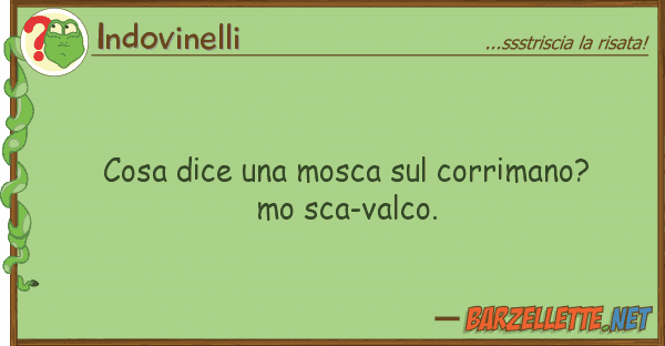 Indovinelli cosa dice mosca corrimano? mo sc