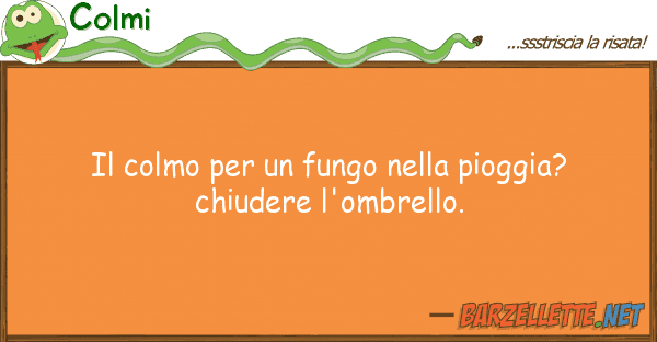 Colmi colmo fungo pioggia? ch