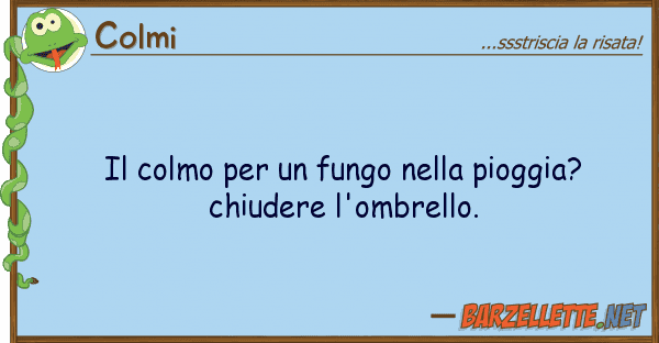 Colmi colmo fungo pioggia? ch