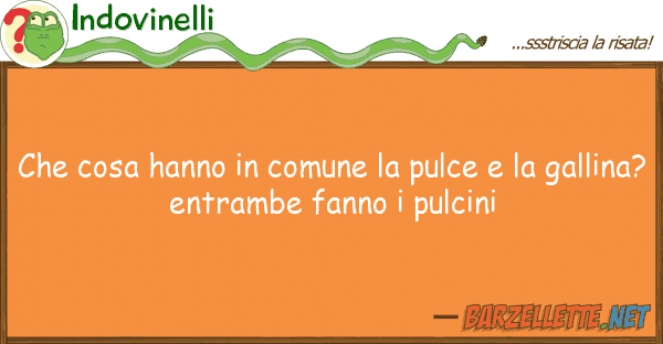 Indovinelli cosa hanno comune pulce g