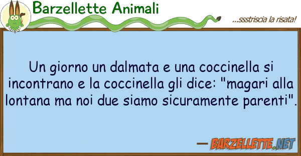 Barzellette Animali giorno dalmata coccinella