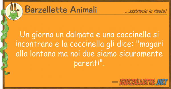 Barzellette Animali giorno dalmata coccinella