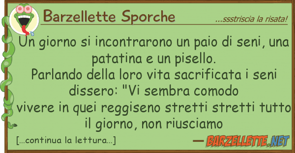 Barzellette Sporche giorno incontrarono paio sen