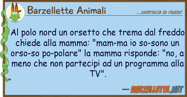 Barzellette Animali polo nord orsetto trema fr