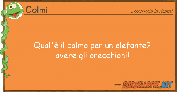 Colmi qual'è colmo elefante? avere