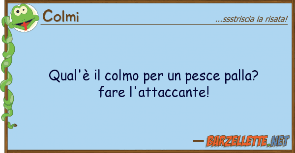 Colmi qual'è colmo pesce palla? far