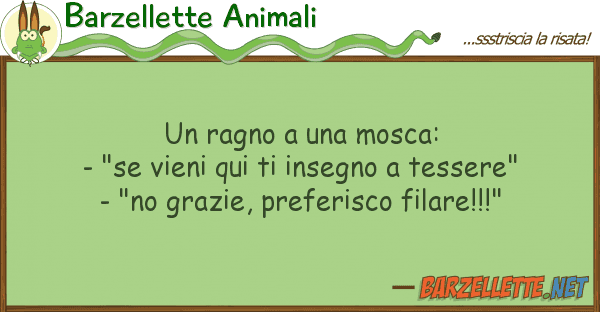 Barzellette Animali ragno mosca: - "se vieni qui t