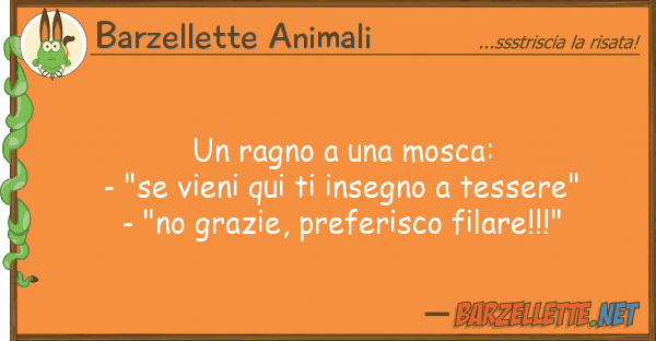 Barzellette Animali ragno mosca: - "se vieni qui t