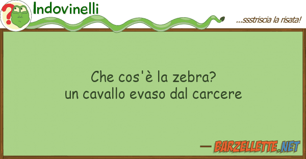 Indovinelli cos'è zebra? cavallo evaso