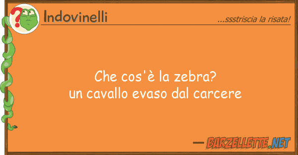 Indovinelli cos'è zebra? cavallo evaso