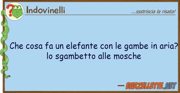 Indovinelli cosa fa elefante gambe