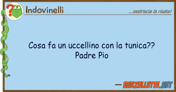Indovinelli cosa fa uccellino tunica?? pa