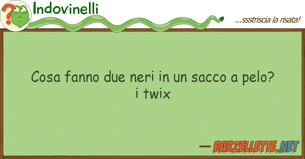 Indovinelli cosa fanno due neri sacco pelo?