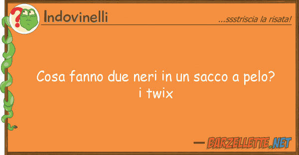 Indovinelli cosa fanno due neri sacco pelo?