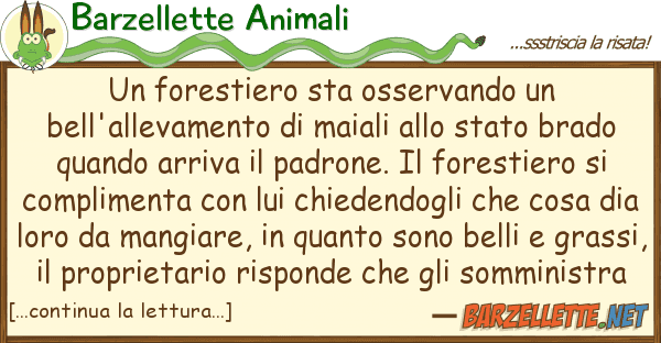 Barzellette Animali forestiero sta osservando bell'all