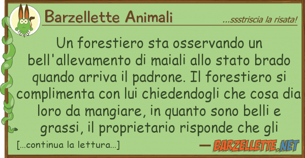 Barzellette Animali forestiero sta osservando bell'all