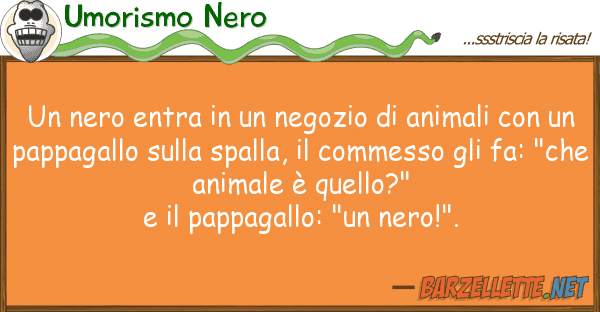 Umorismo Nero nero entra negozio animali