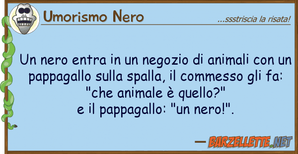 Umorismo Nero nero entra negozio animali
