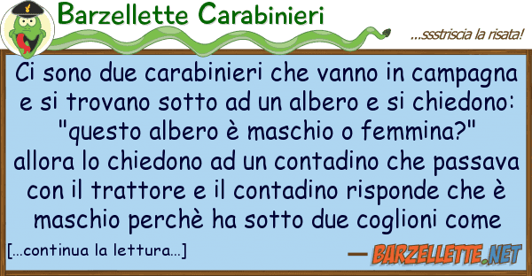 Barzellette Carabinieri sono due carabinieri vanno cam
