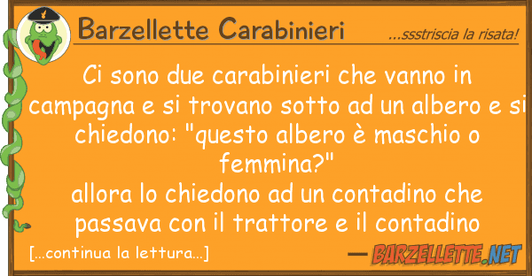 Barzellette Carabinieri sono due carabinieri vanno cam